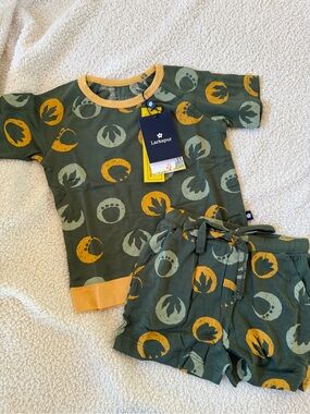 Larkspur Dino green yellow print shorts set
NWT 18-24 month Pajama Set new!